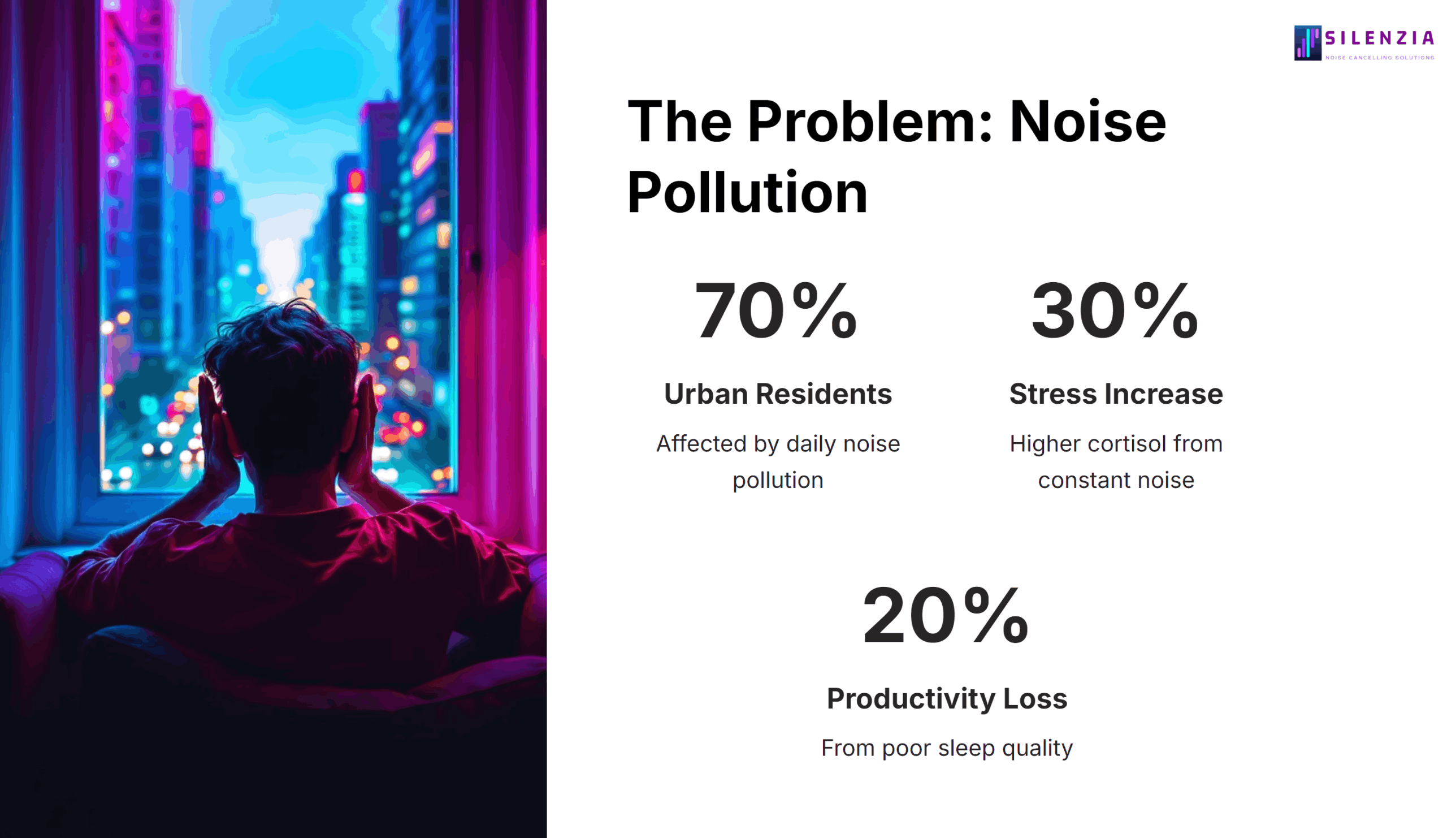 The Problem: Noise Pollution